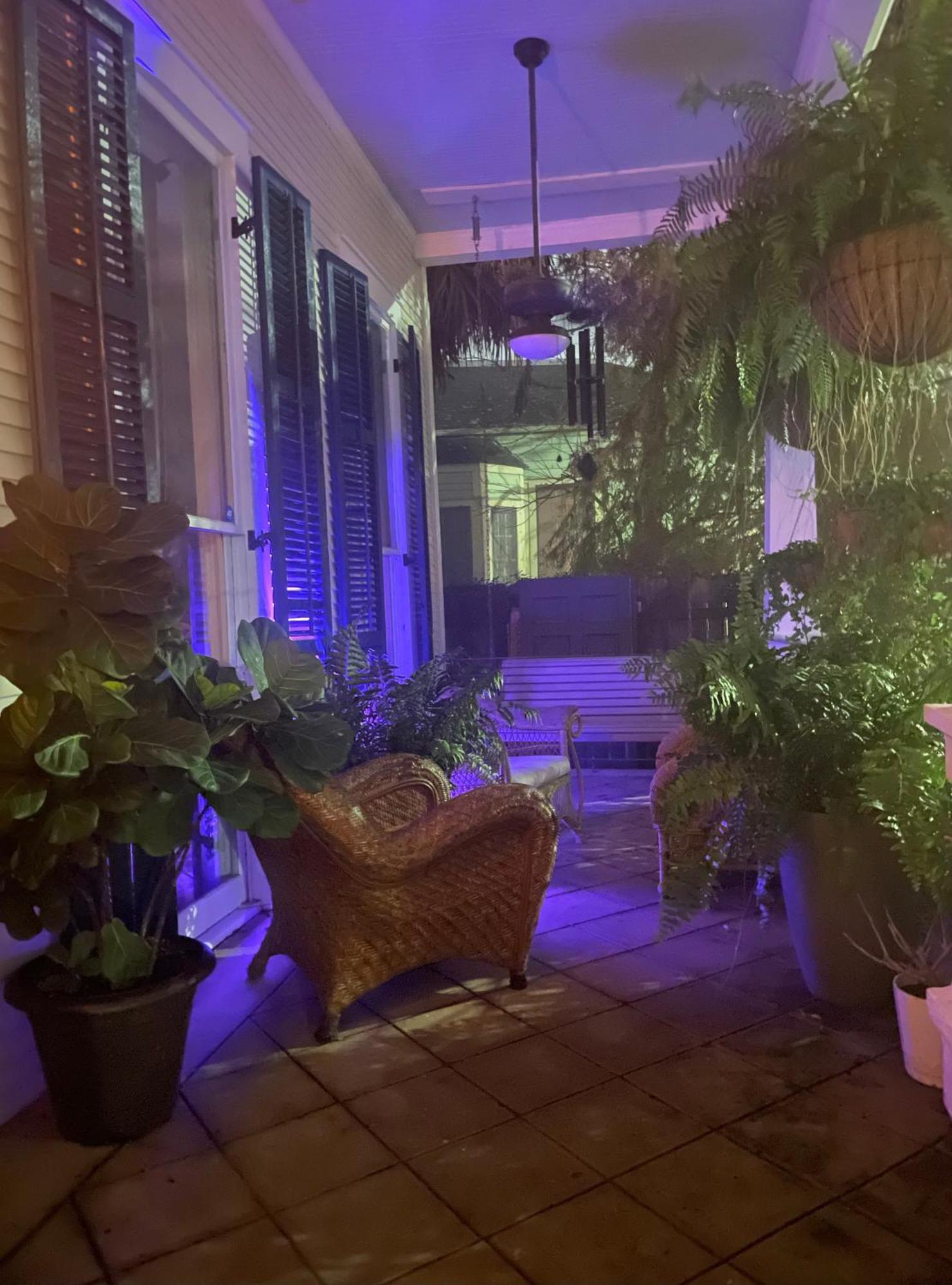 The Dragonfly Treme Guest House 新奥尔良 外观 照片