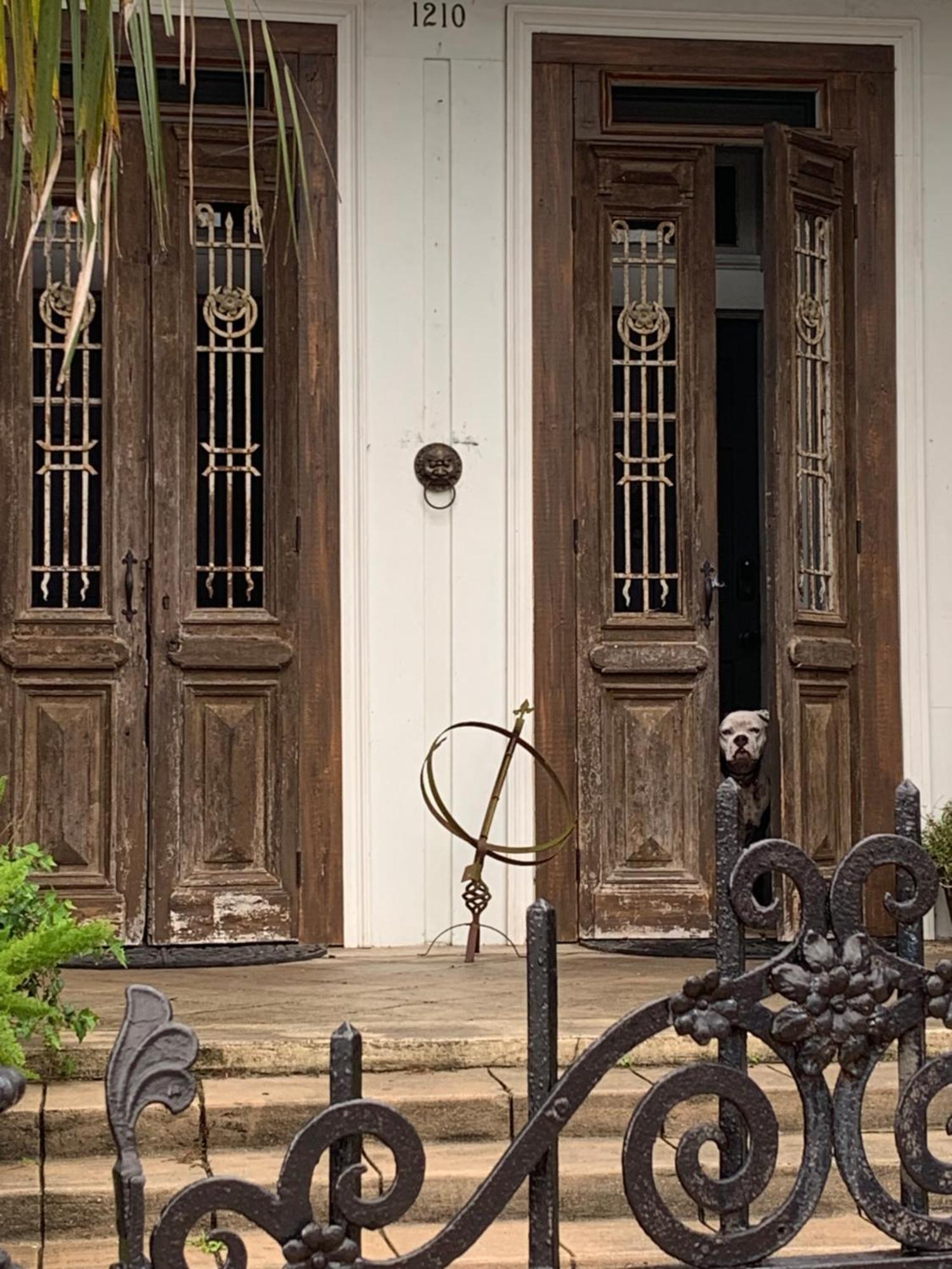 The Dragonfly Treme Guest House 新奥尔良 外观 照片