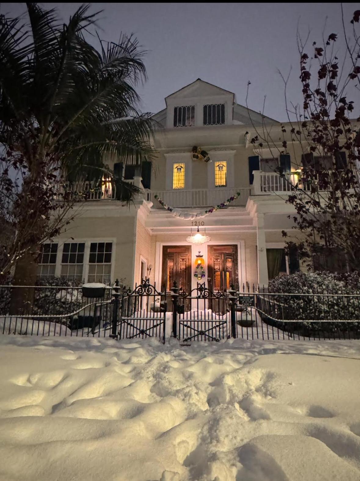 The Dragonfly Treme Guest House 新奥尔良 外观 照片
